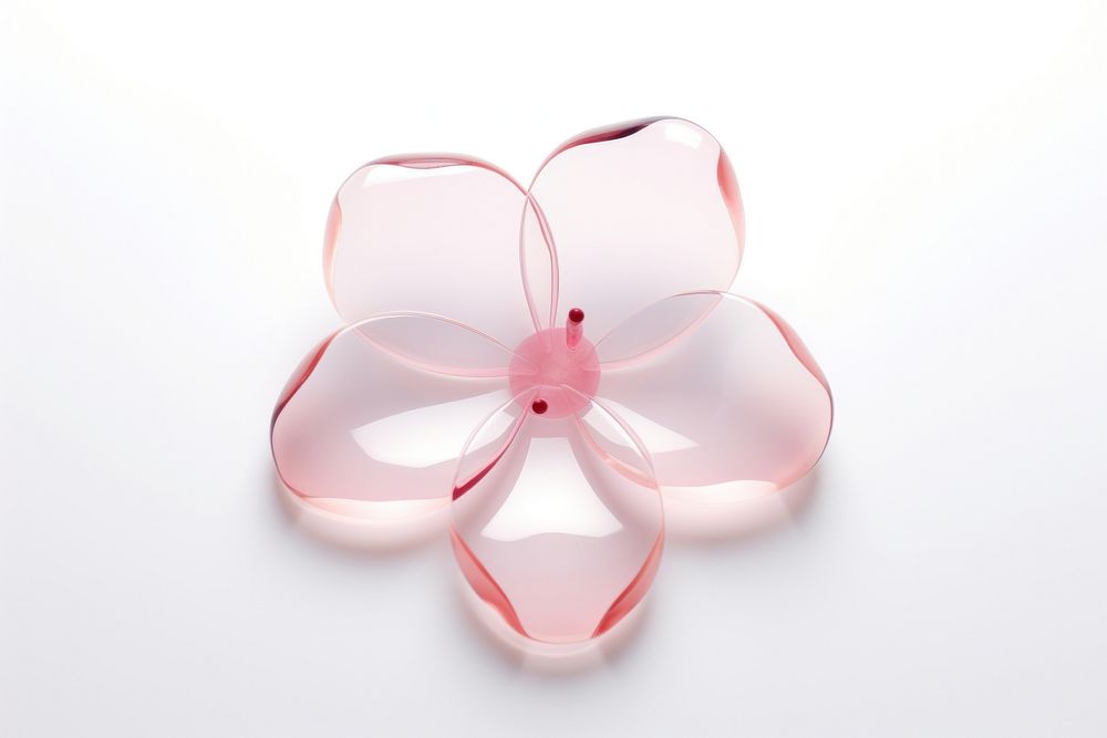 Sakura petal jewelry flower white background.