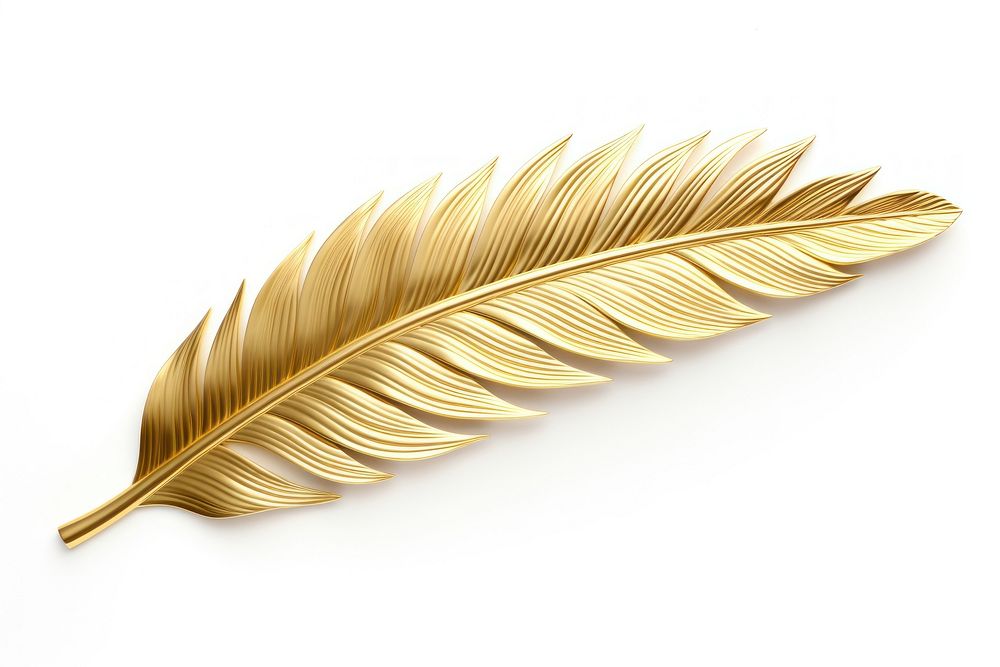 Palm leaf gold jewelry white background.