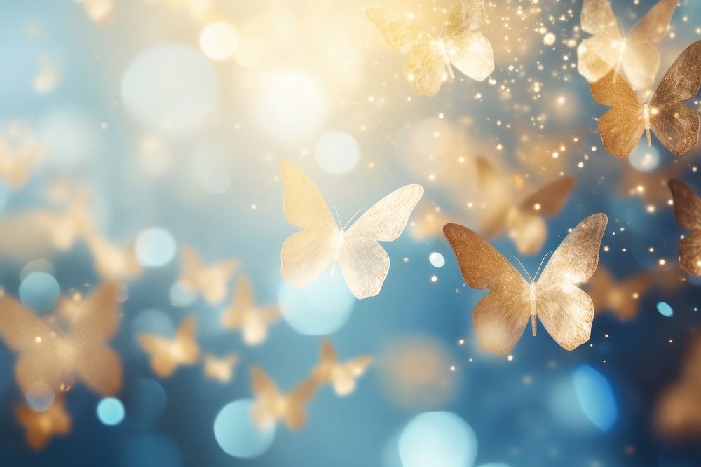 Butterfly bokeh effect background backgrounds abstract outdoors.