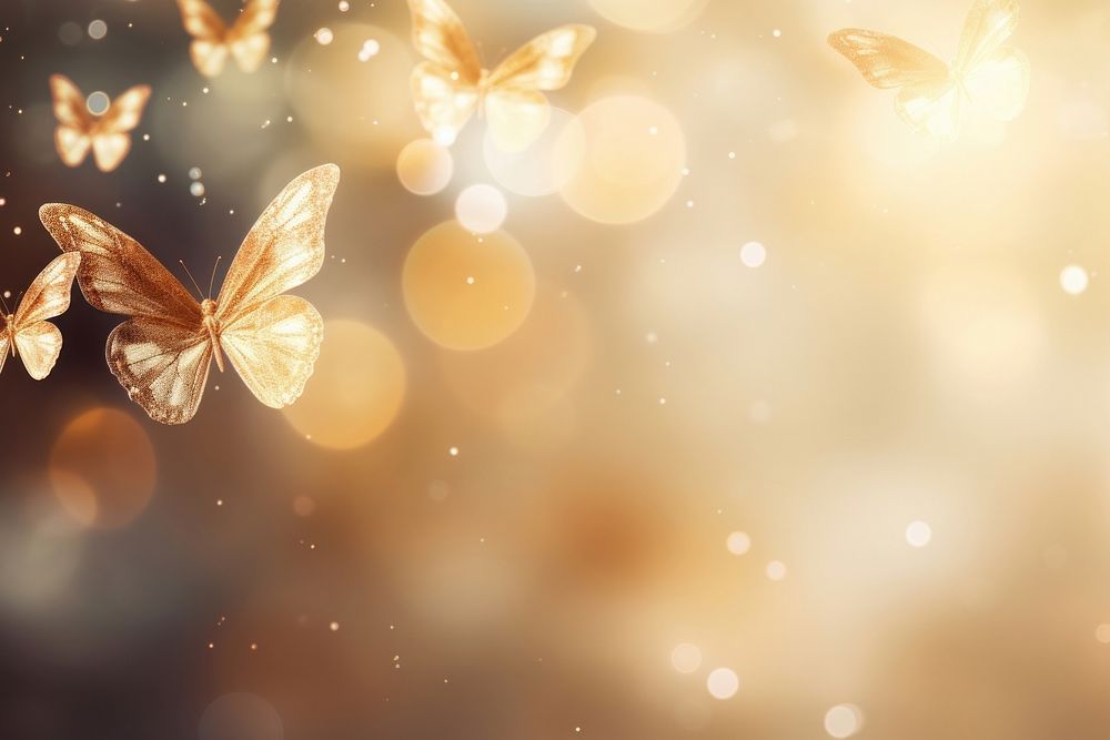 Butterfly bokeh effect background backgrounds abstract sunlight.