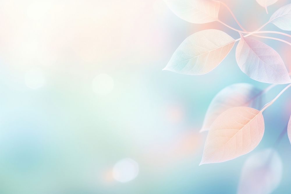 Leaf pattern bokeh effect background backgrounds abstract outdoors.
