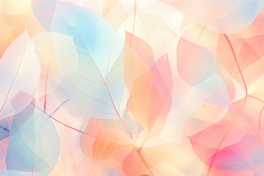 Leaf pattern bokeh effect background backgrounds abstract petal.