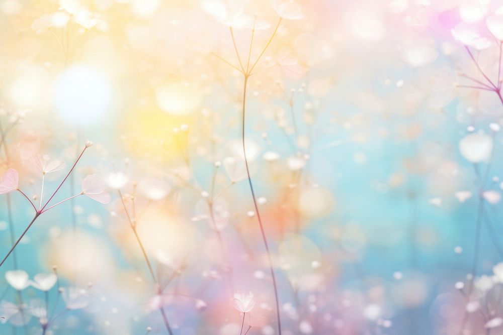 Nature pattern bokeh effect background backgrounds abstract outdoors.