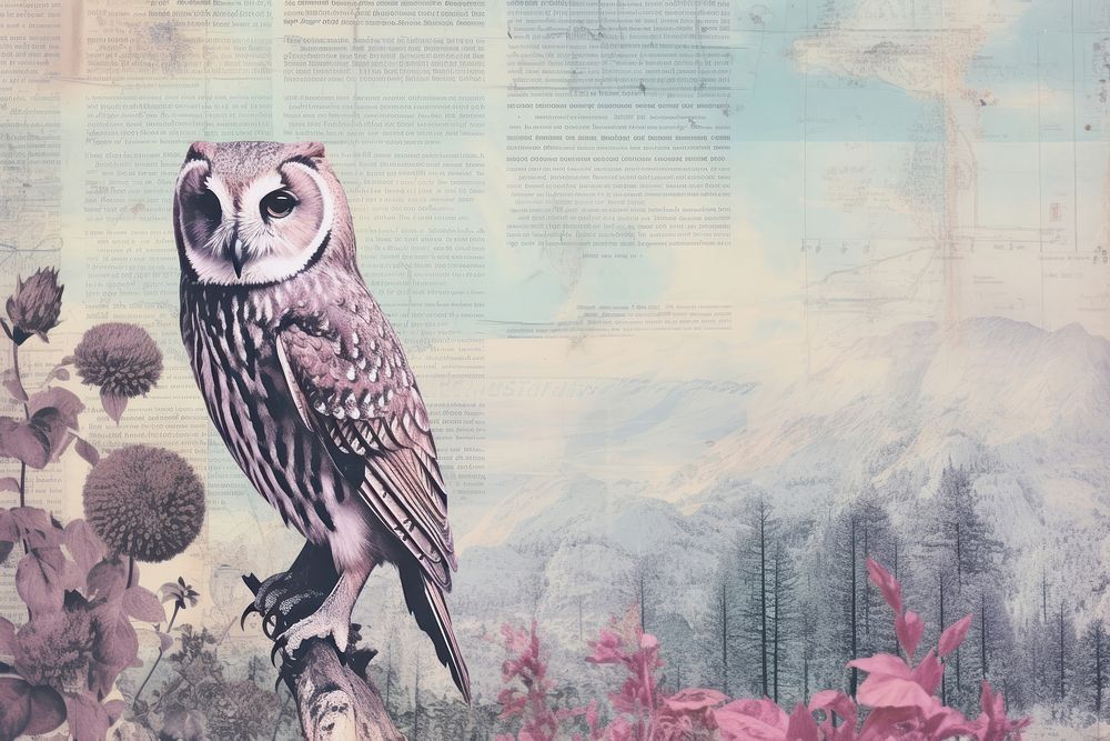 Owl summer landscapes animal bird art.