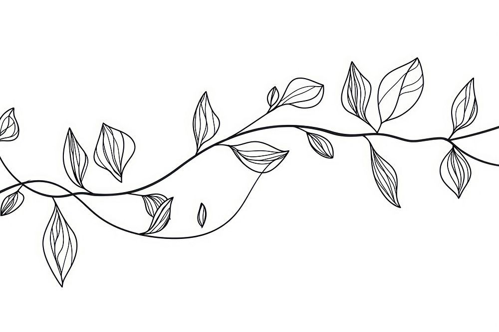 Continuous line drawing vine pattern sketch art.