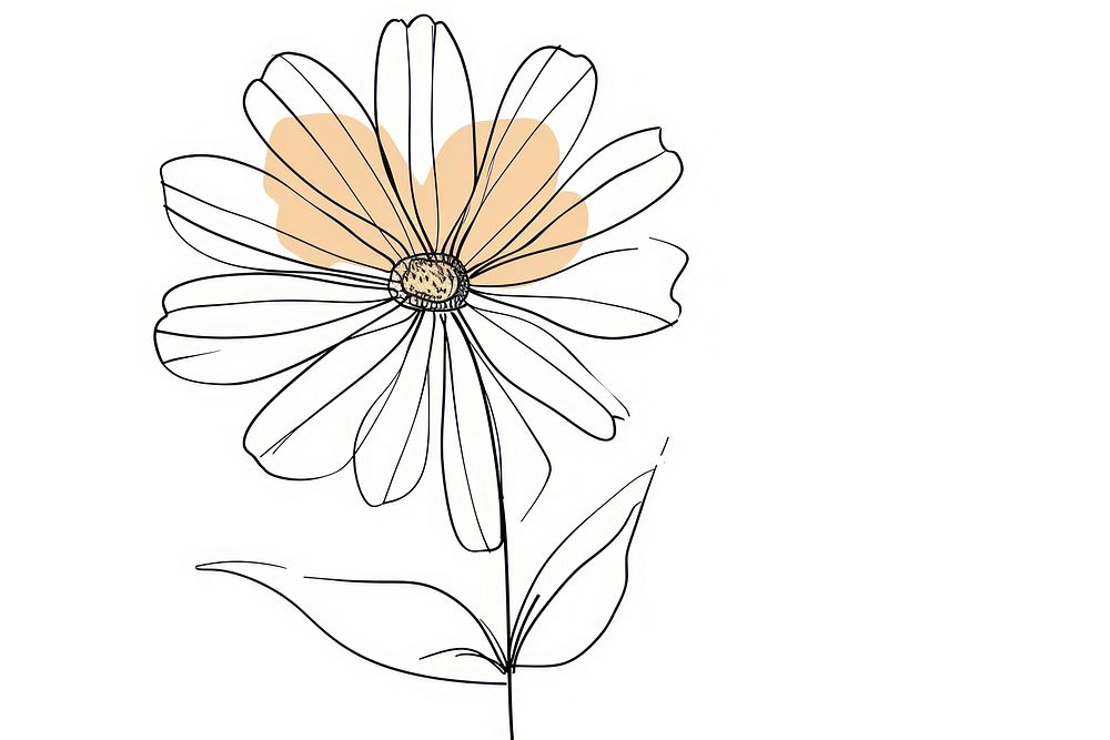 Continuous line drawing daisy doodle flower sketch plant.