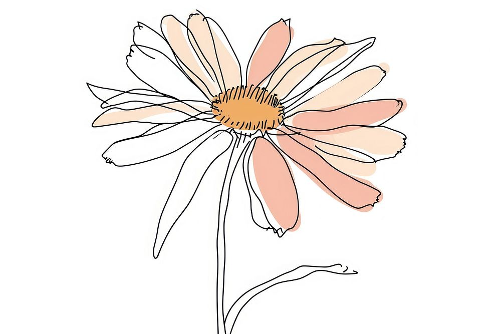 Continuous line drawing daisy flower plant art.