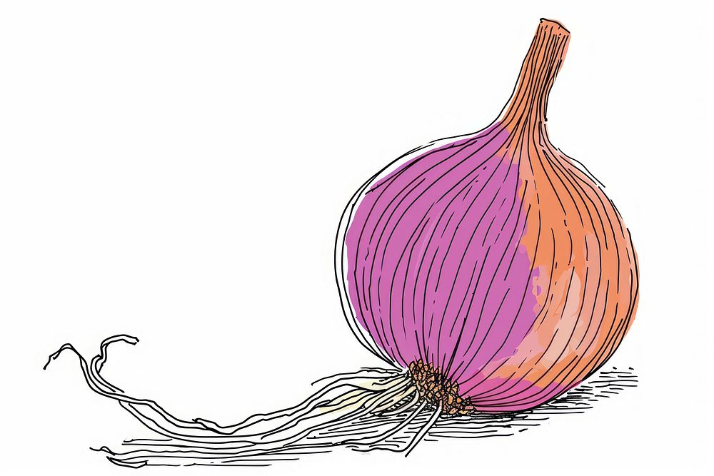 Continuous line drawing onion vegetable shallot plant.