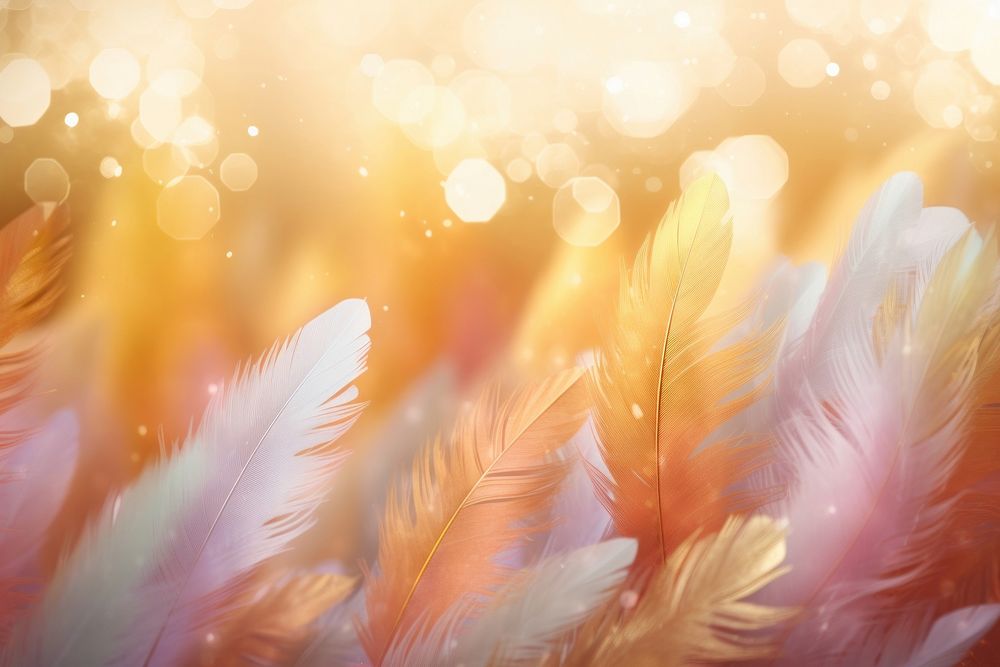 Feather shape pattern bokeh effect background backgrounds outdoors nature.