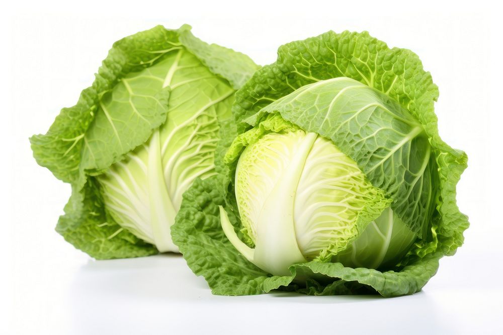 Green cabbage vegetable plant food.