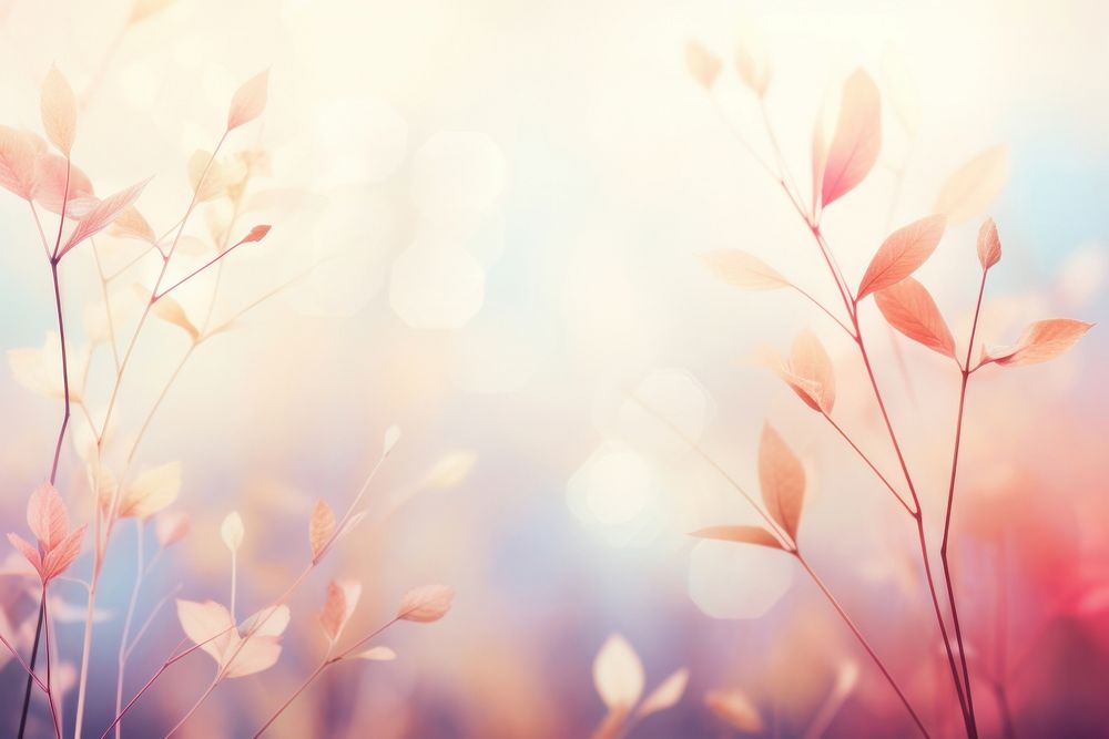 Leaf bokeh effect background backgrounds sunlight outdoors.