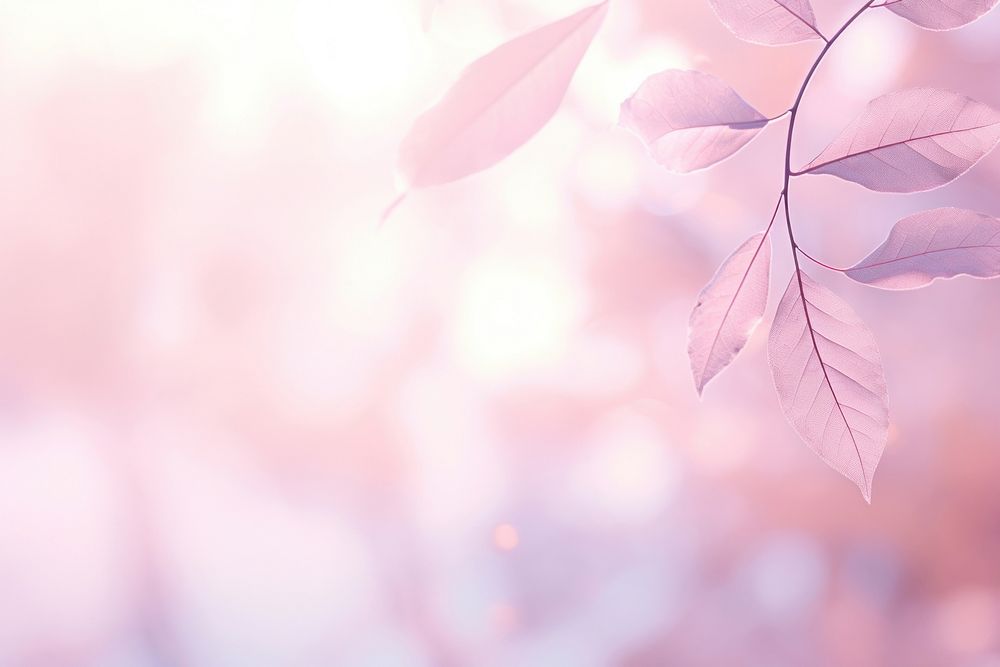 Leaf bokeh effect background backgrounds outdoors blossom.