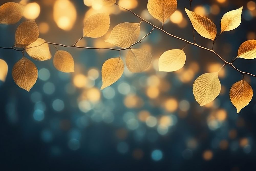 Leaf pattern bokeh effect background backgrounds outdoors nature.