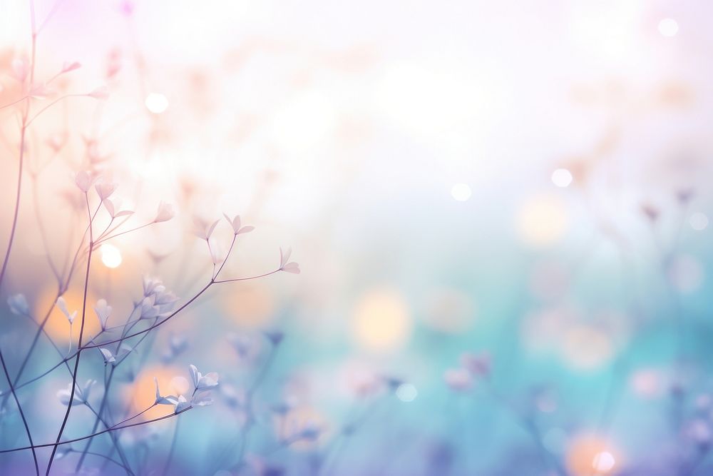 Nature bokeh effect background backgrounds outdoors flower.