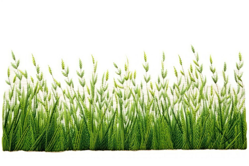 Grass field in embroidery style plant green wheatgrass.