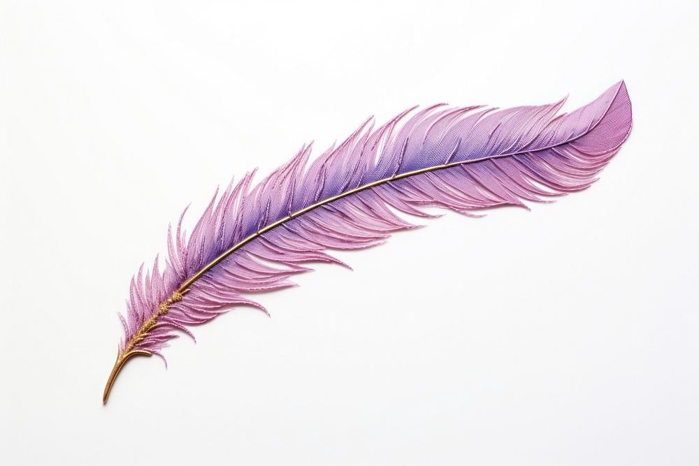Feather in embroidery style purple lightweight accessories.