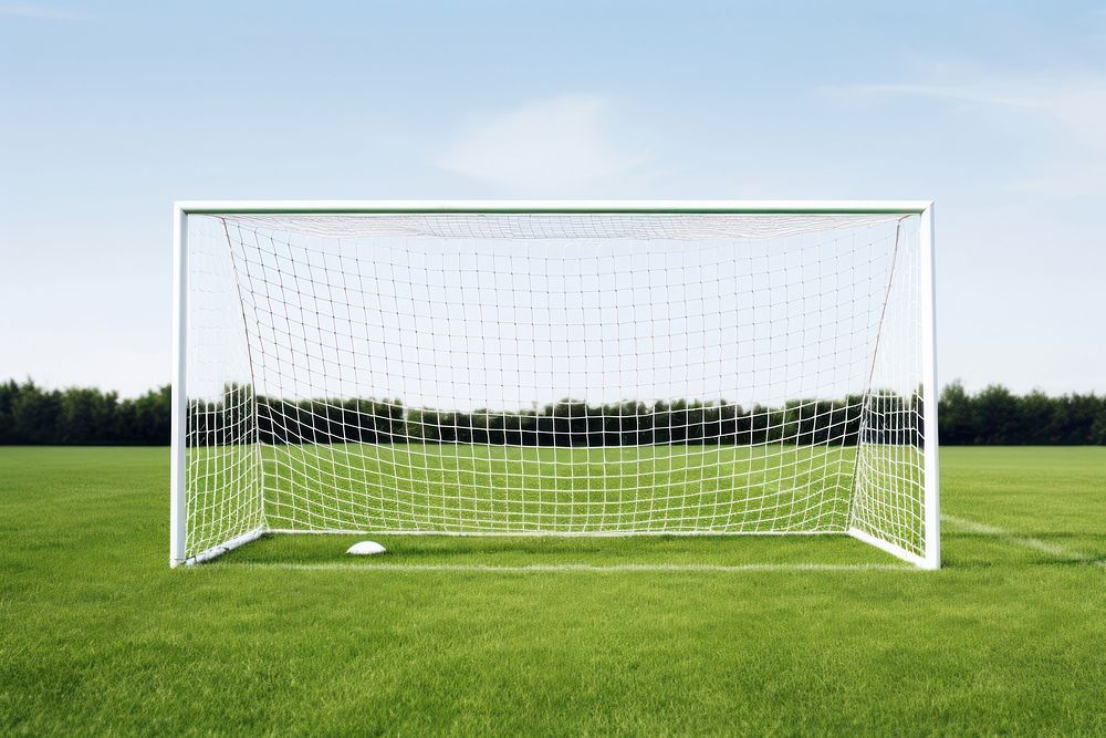 Football goal with green grass football sports plant.