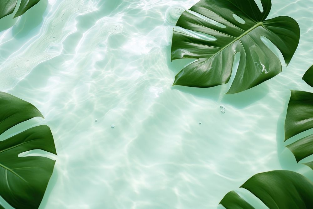 Green tropical leaves on water floor pattern green backgrounds outdoors.