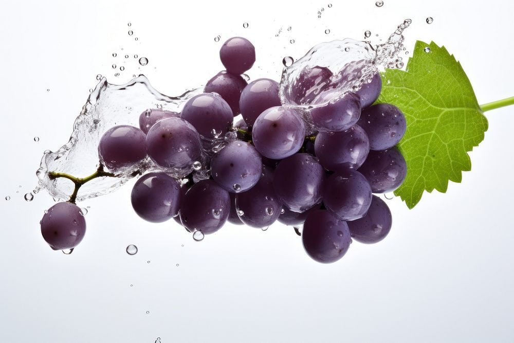 Purple grapes with splash falling fruit plant.