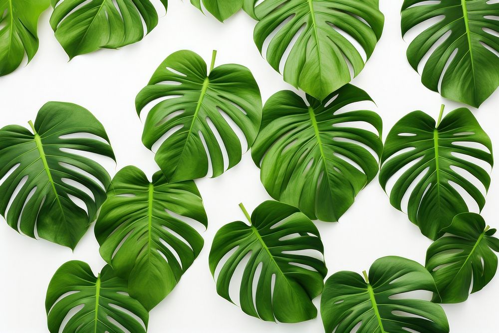  Tropical backgrounds plant green. AI generated Image by rawpixel.