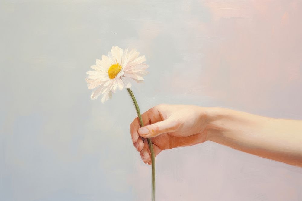 Hand hold daisy flower finger petal.