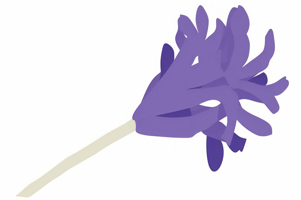 Hyacinth flower minimalist form purple white background appliance.