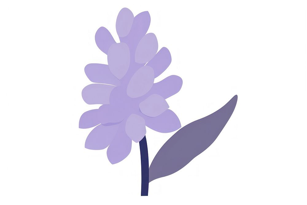 Hyacinth flower minimalist form blossom nature petal.