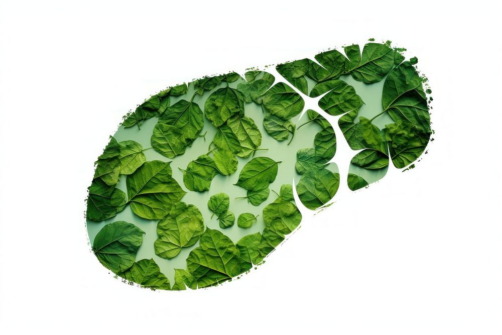 Footprint plant green leaf.
