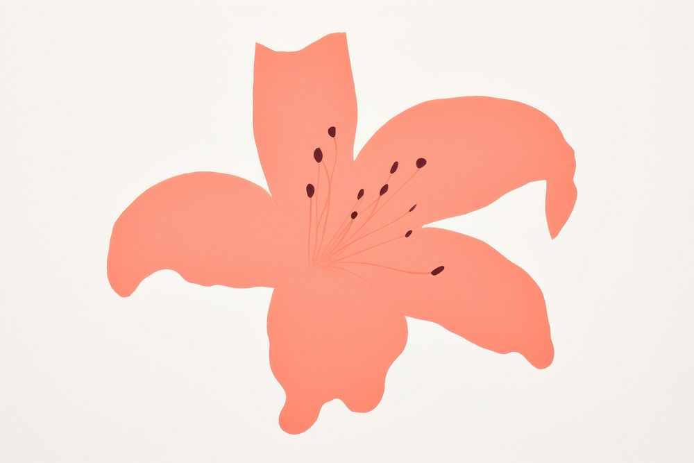 Lily flower minimalist form petal plant creativity.