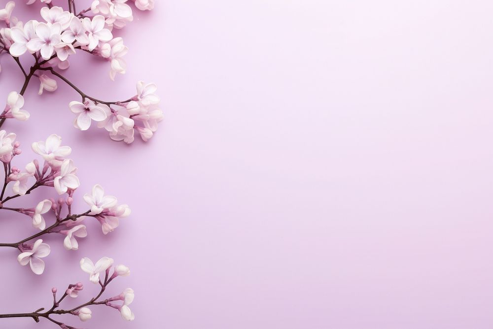  Lilac aesthetic background backgrounds outdoors blossom. AI generated Image by rawpixel.