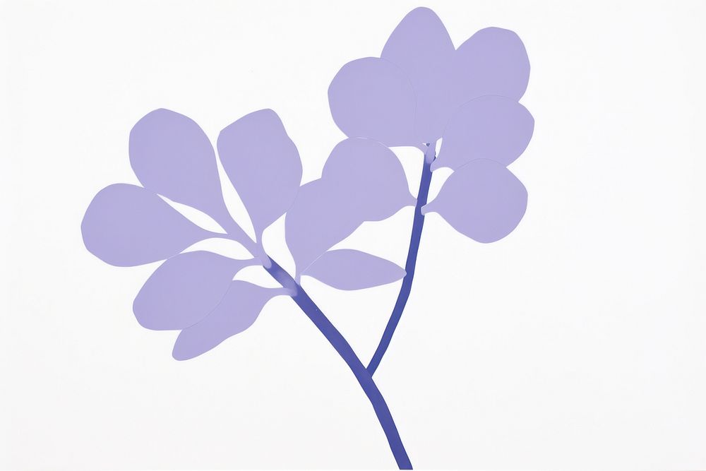 Lilac flower minimalist form petal plant leaf.