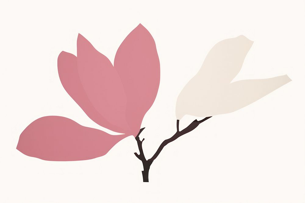Magnolia minimalist form magnolia flower petal.