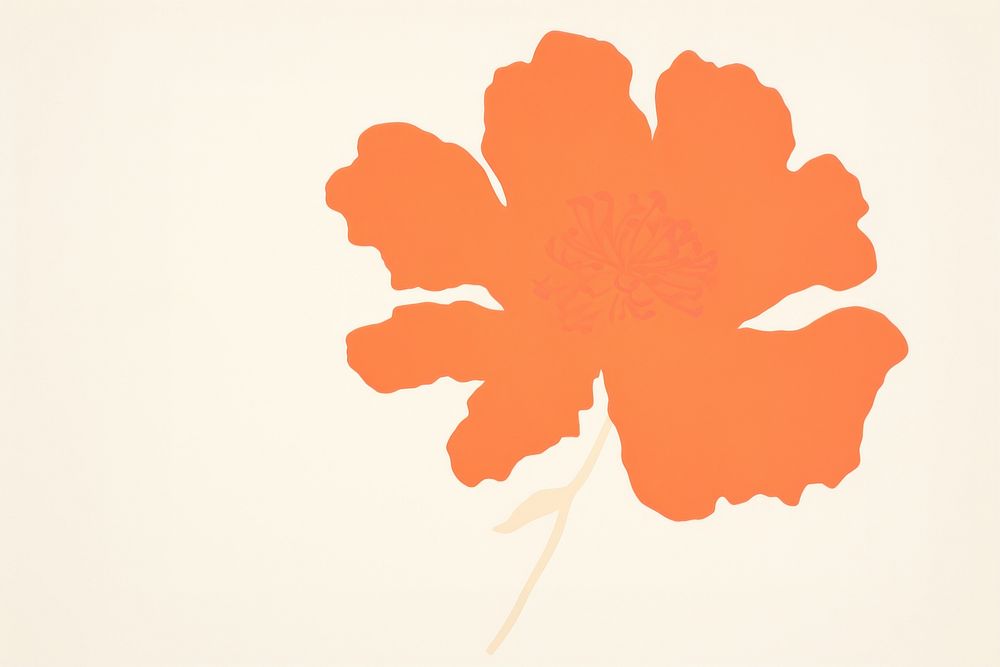 Marigold petal plant creativity.
