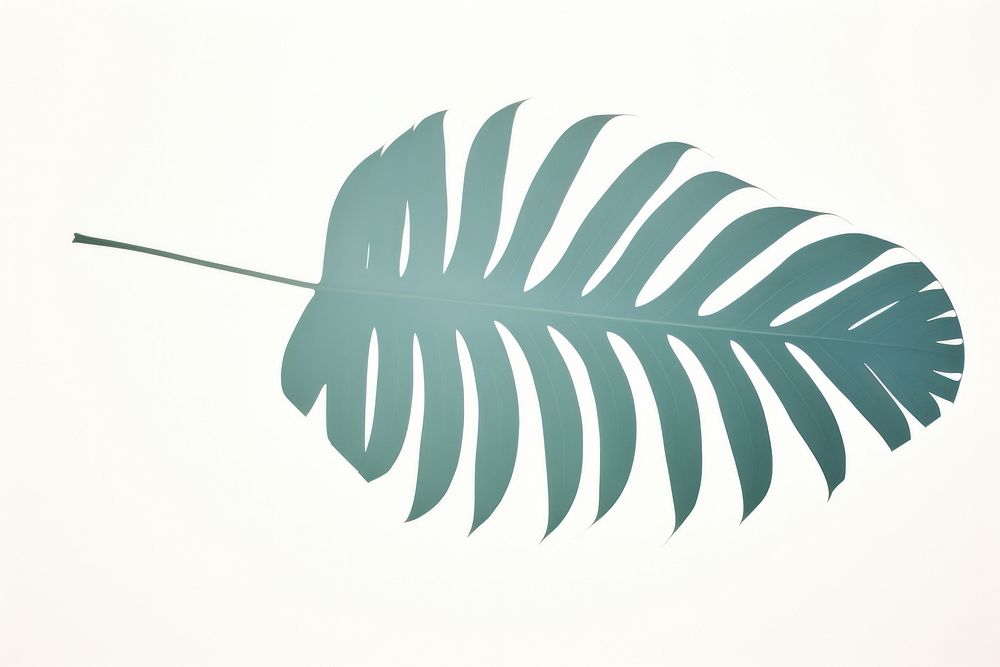 Palm leaf minimalist form plant dynamite weaponry.