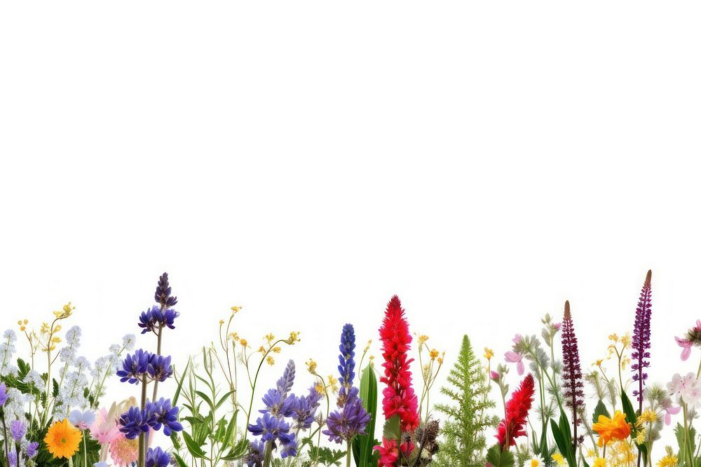 Wildflowers backgrounds lavender outdoors. AI generated Image by rawpixel.