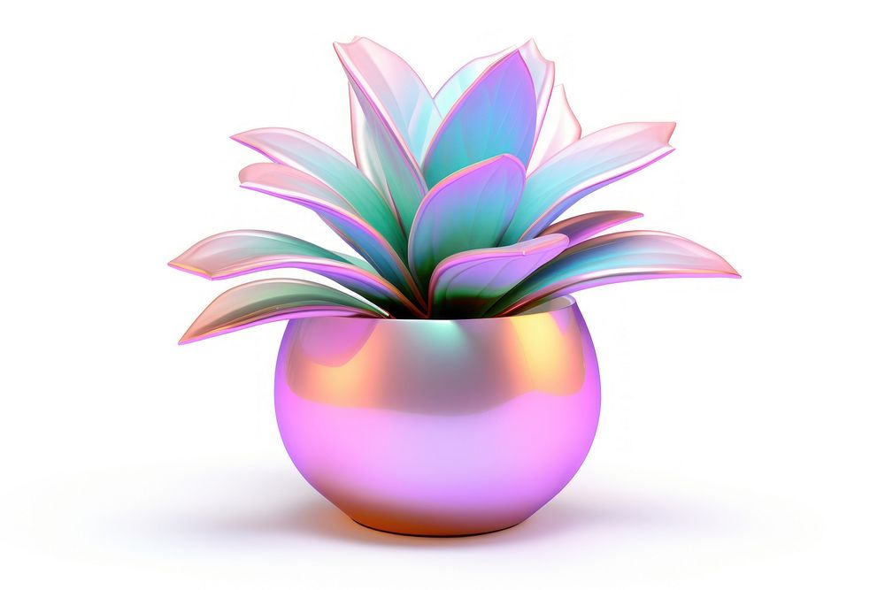 Houseplant iridescent flower vase white background.