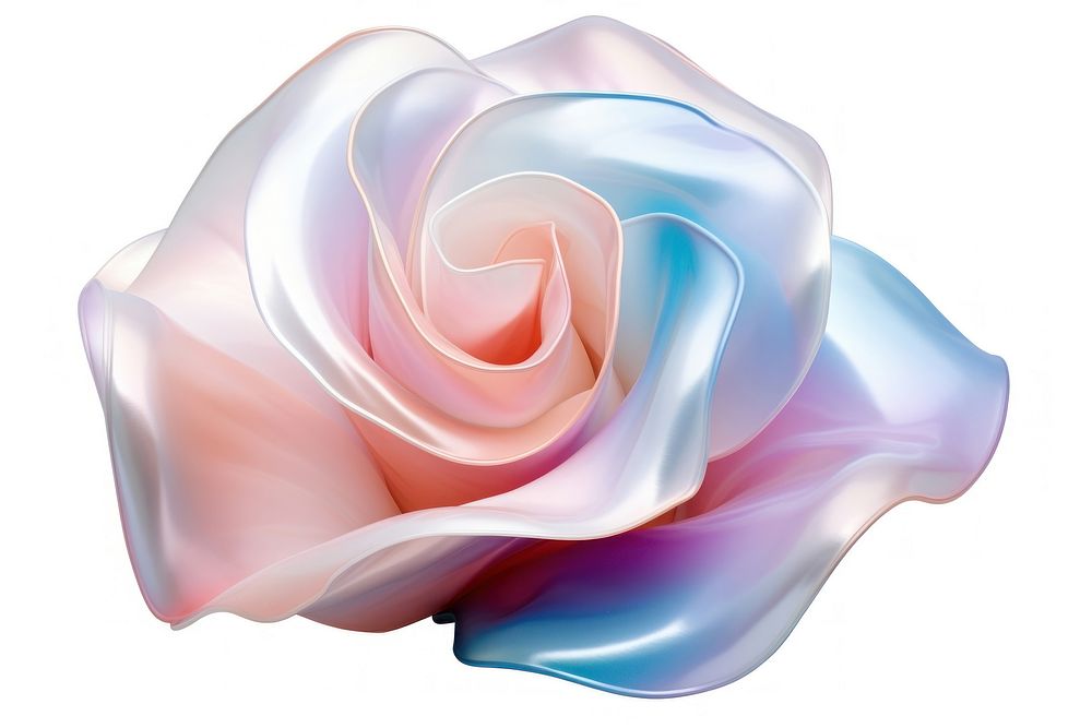 Rose petal iridescent flower plant white.