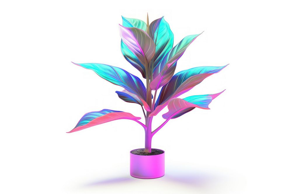 Tall plant iridescent leaf white background creativity.