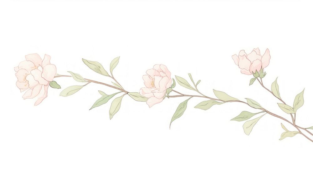 Cute peony branch as line watercolour illustration blossom pattern drawing.