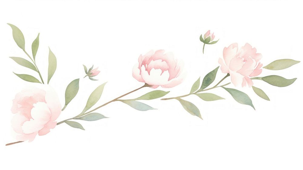 Cute peonies branch as line watercolour illustration pattern flower plant.