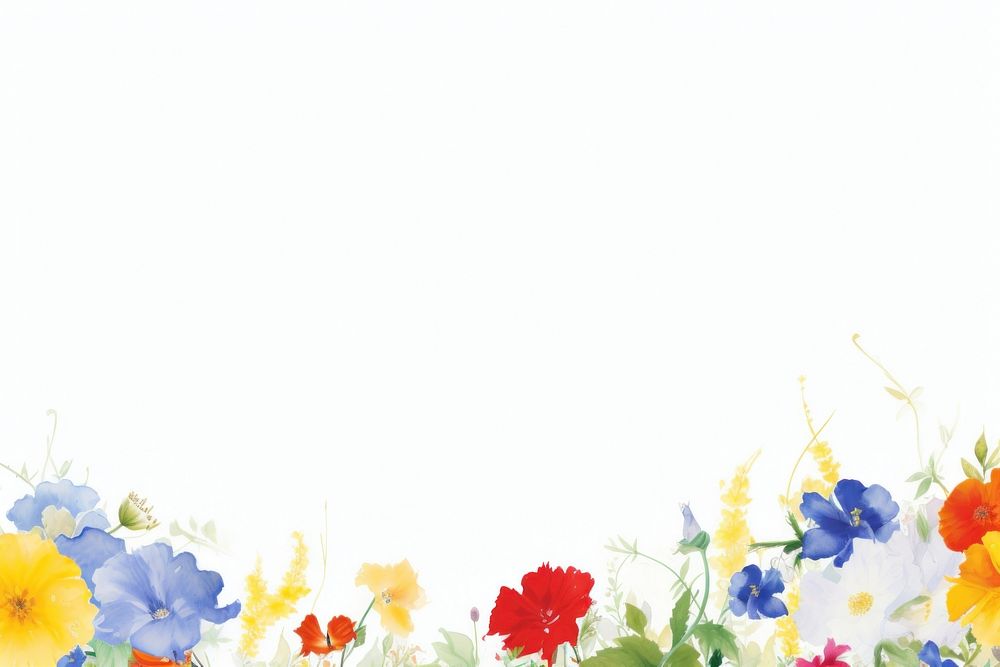 White flower boarder backgrounds outdoors pattern.