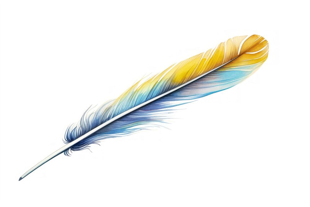 Feather boarder white background lightweight copy space.