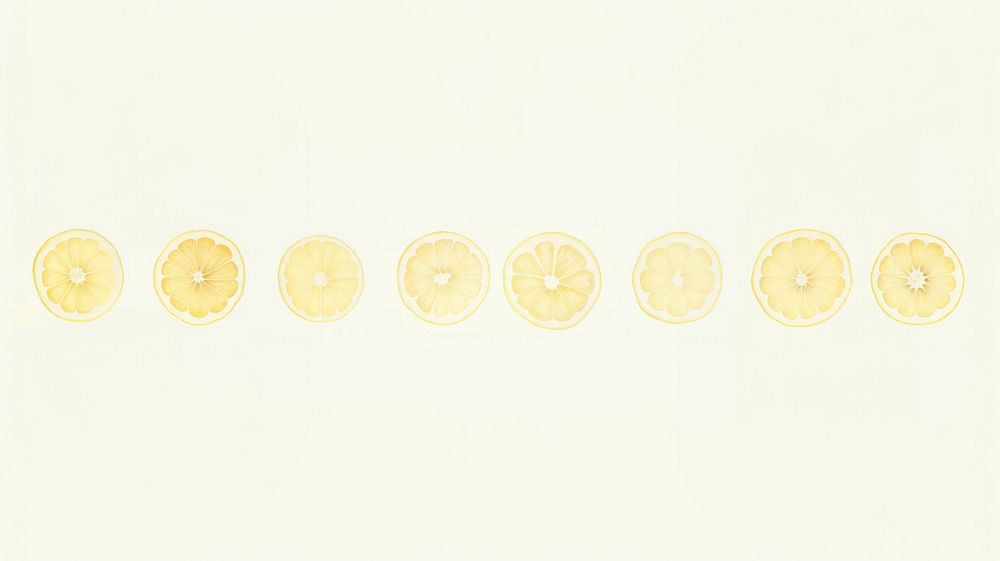 Lemon sliced as line watercolour illustration weaponry pattern cooking.