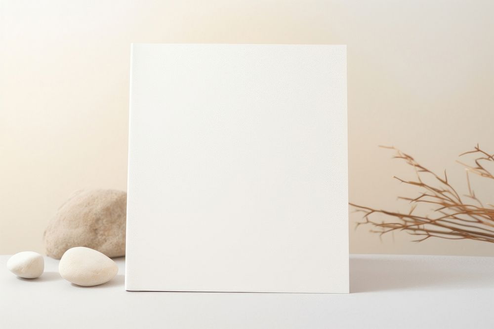 Paper white studio shot simplicity.