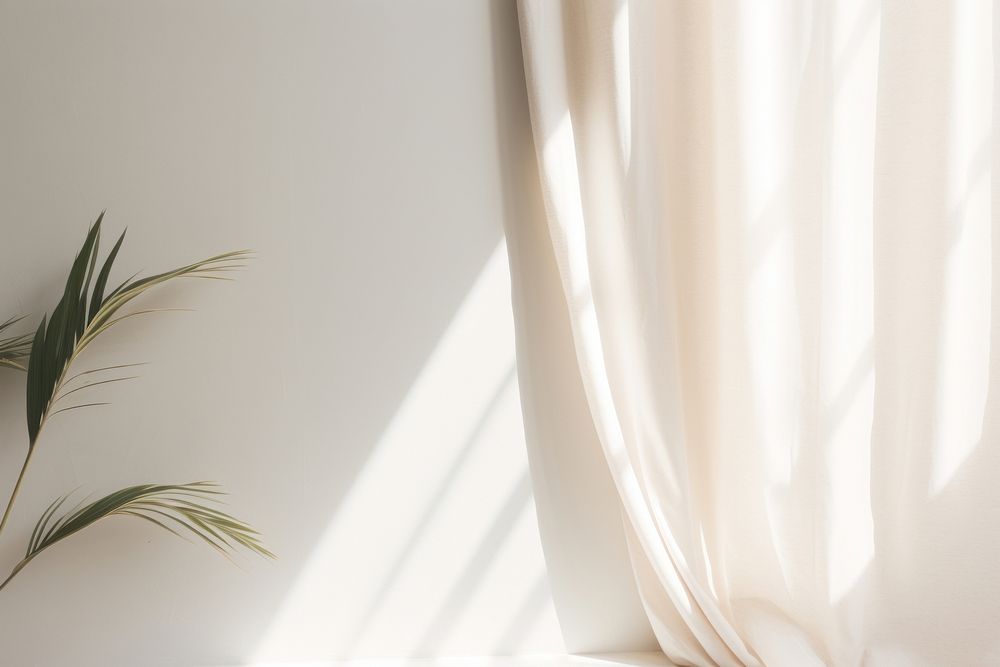 Simple white curtain  window light plant.