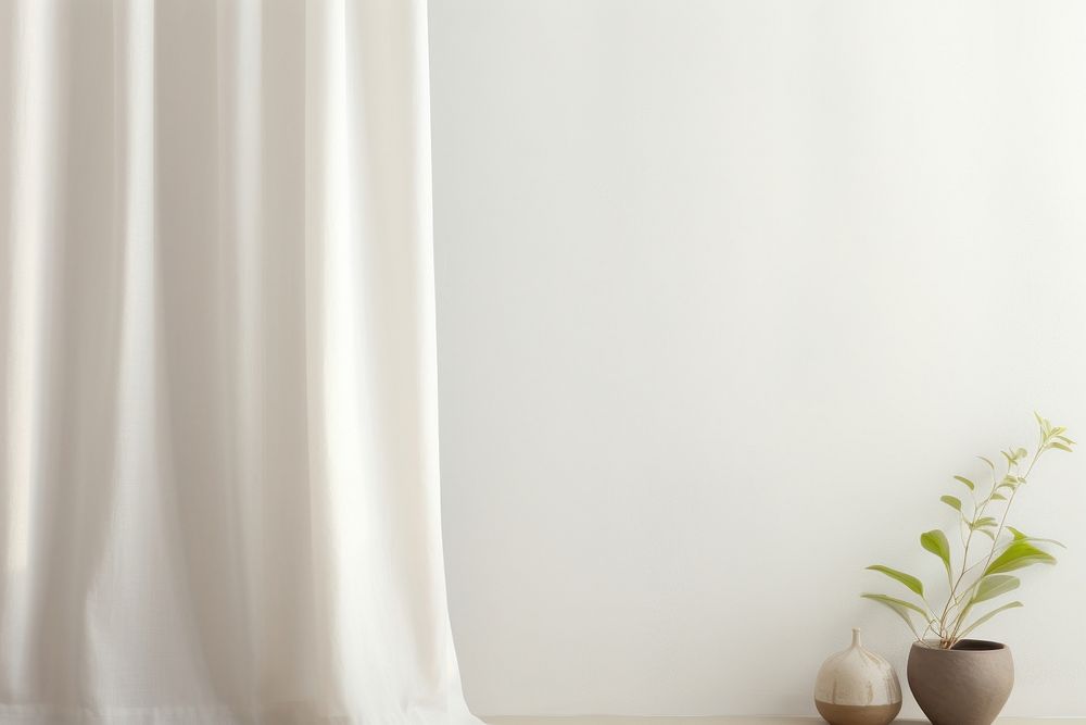 Simple white curtain  window linen plant.