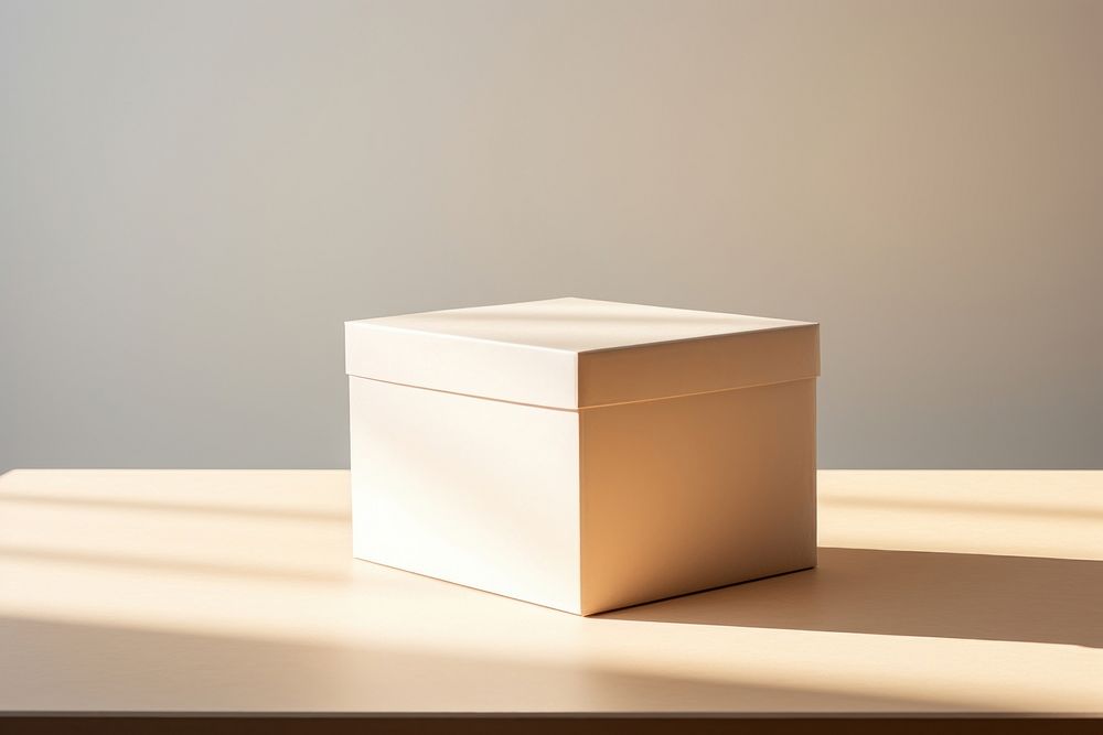 Simple packaging box  carton simplicity rectangle.