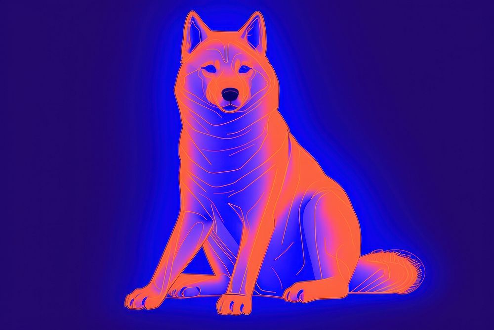 Illustration Akita Inu neon rim light animal mammal purple.