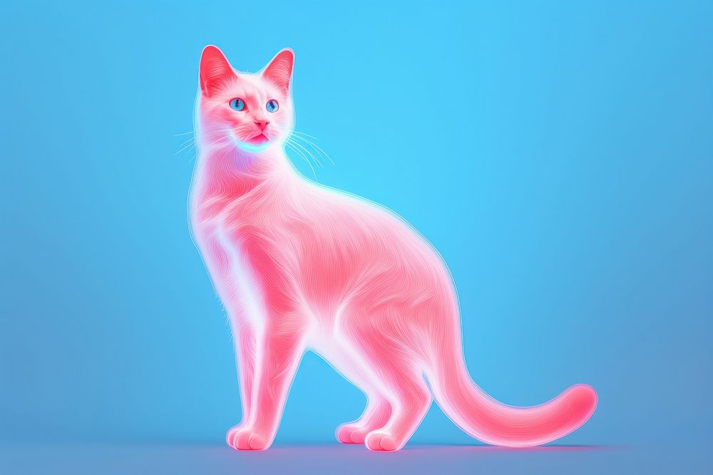 Illustration Balinese cat neon rim light portrait animal mammal.
