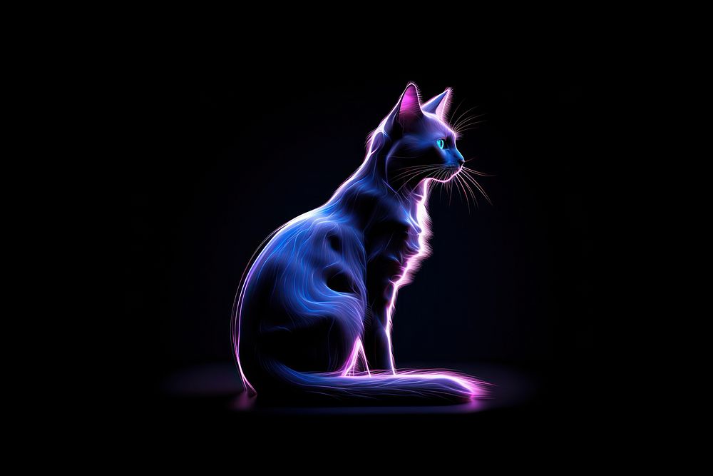 Illustration Balinese cat neon rim light animal mammal purple.